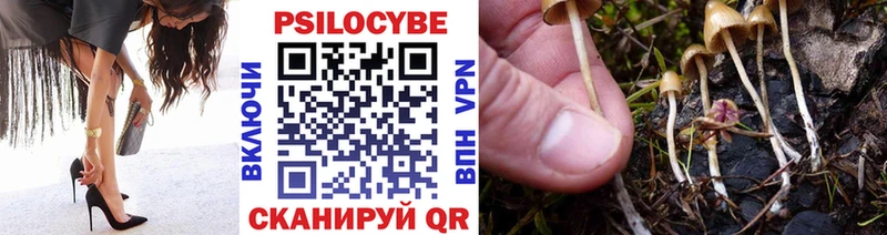 Купить  Дедовск  Галлюциногенные грибы мухоморы 
